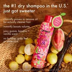 amika x Ellis Brooklyn limited-edition perk up GUAVA GRANITA dry shampoo bundle set